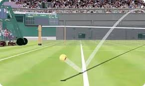 多伦多蓝鸟队传奇投手罗伊·哈勒戴入选名人堂