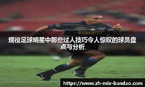 否能在